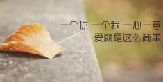 见过花开就好