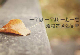 见过花开就好